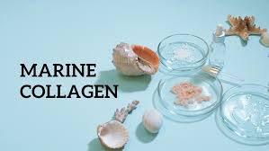 Absolute Collagen: Your Beauty Elixir