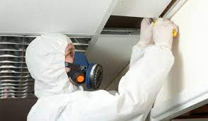 Asbestos Testing and Health: Securing Safe Living Spaces