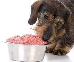 Feeding Raw: Unveiling the Advantages of a Raw Dog Food Diet