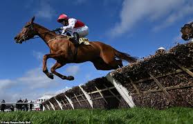 Cheltenham Festival Hospitality Tickets: Luxury, Racing, and Unmatched Service